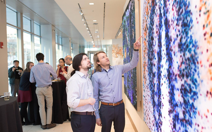 two graduate students look at an image of cells in a wall-mounted lightbox