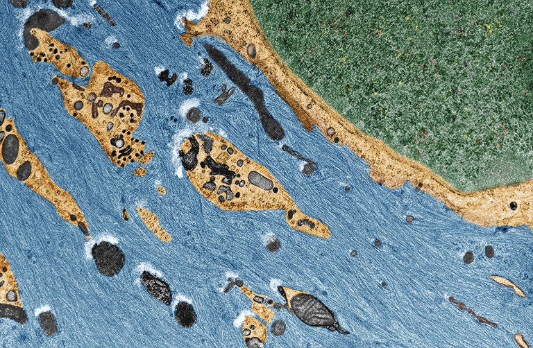 A coastal river of water running across the a sandy shore