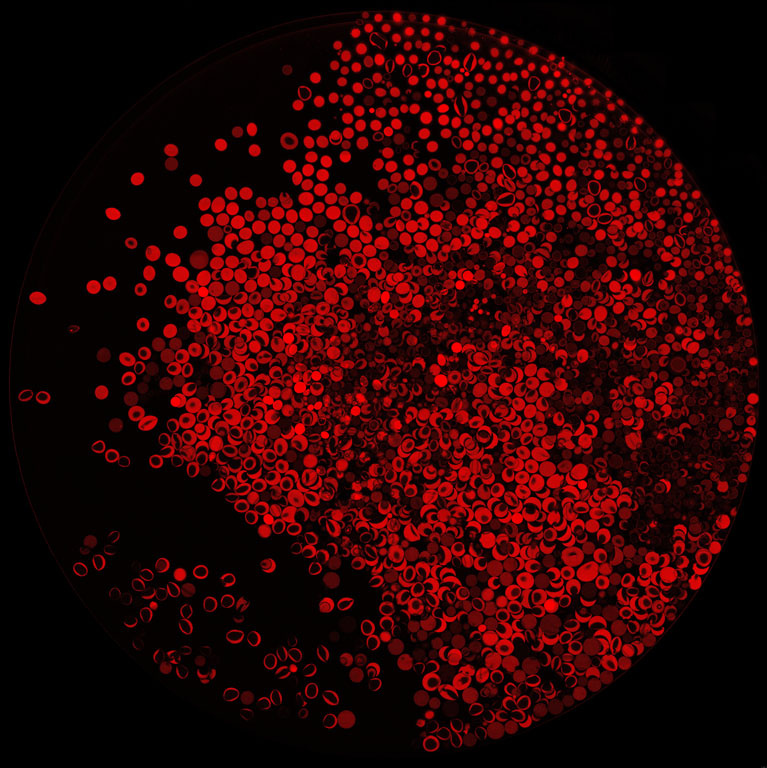 A circle made of red dots breaking down