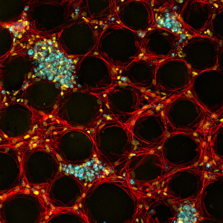 Red honey comb with sprinkles of yellow and cyan throughout