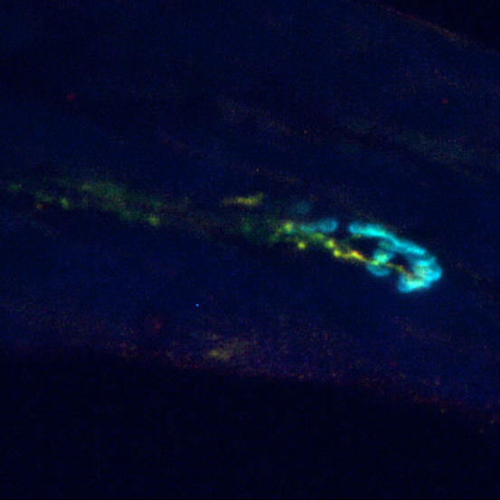 Shimmering turquoise splatter arching across a dark environment 