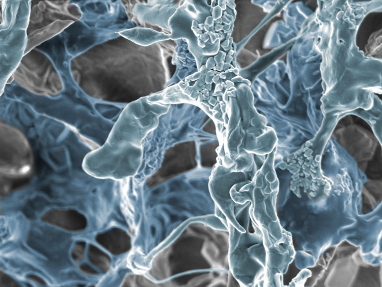 Ghostly grey and blue structures webbing over each other in dense clusters