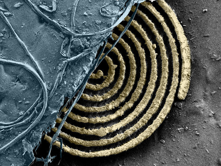 Spiral of curved copper colored formations making rings over a dark surface