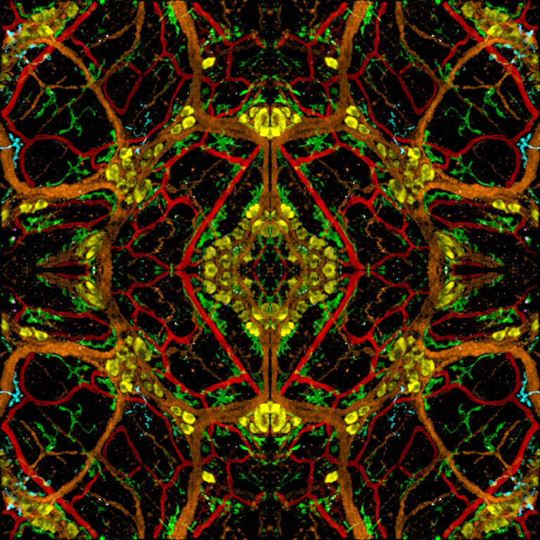 Symmetrical matrix consisting of red, grid and yellow hexagonal grids atop green rivulets. 