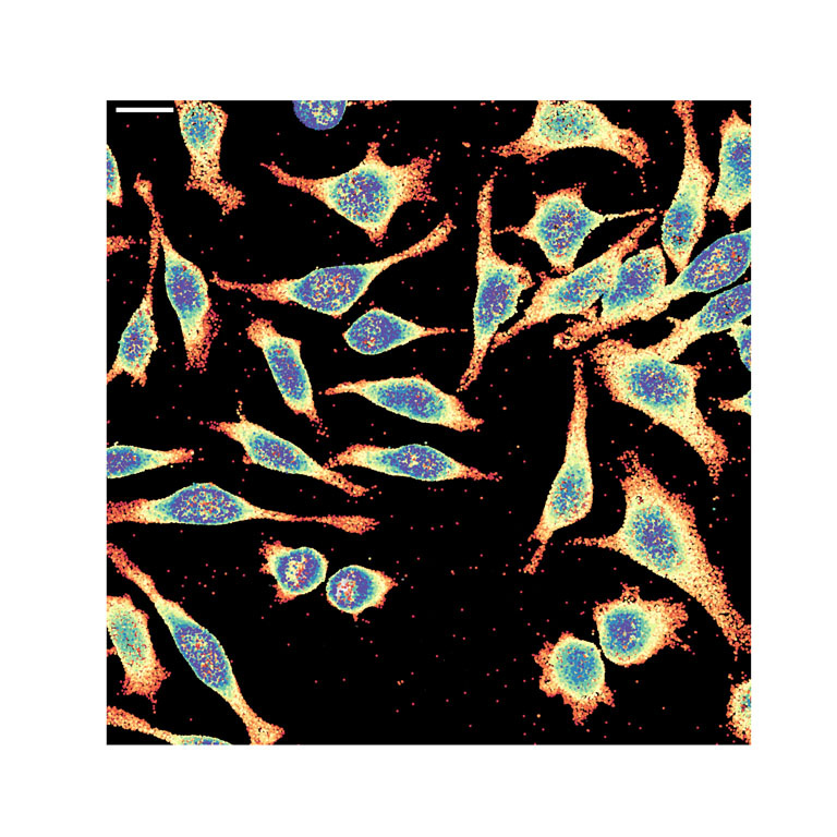 Florescent pixelations made of orange, blues and yellows in oblong clusters atop a dark environment