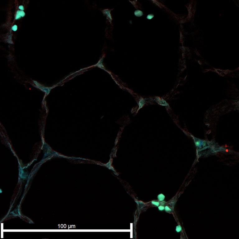 Glowing teal drops in the corners of a darkened hexagonal grid.