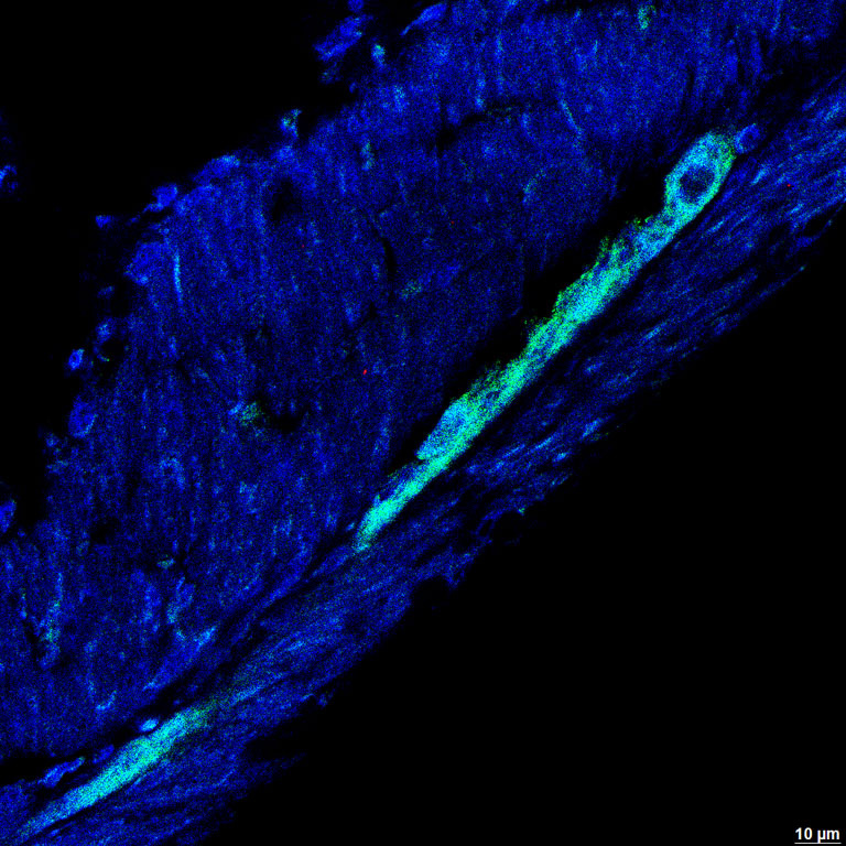 Neon blue wav terrain with river of teal piercing through the center