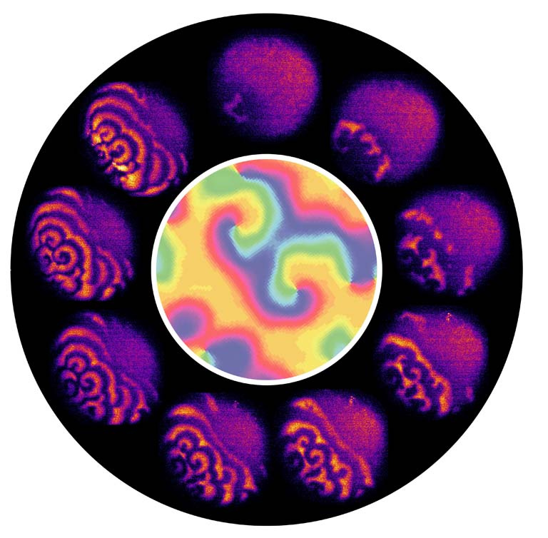 ring of rippled purple shapes on a black background surrounding a rainbow swirl