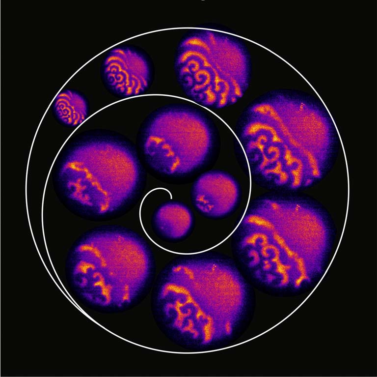 a spiral of purple blobs with varying degrees of visible structure