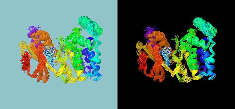 two identical views of a homologous protein model, one on a blue background, one on a black background