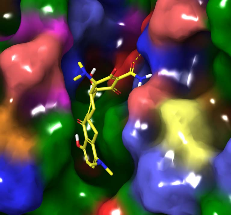 view into the center of a 3-D protein structure model