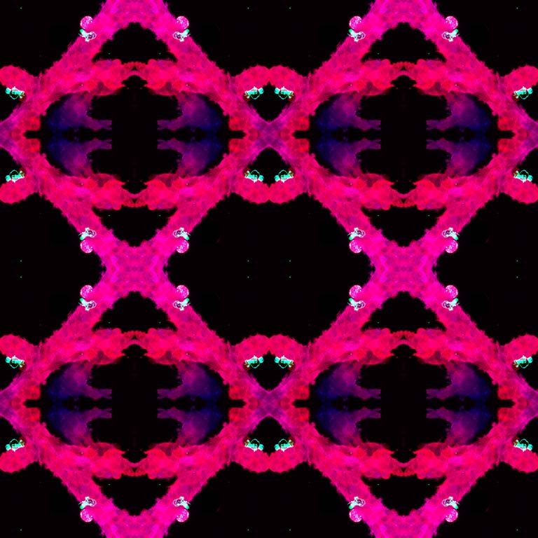 close-up hexagonal lattice-like pattern of cells in pink