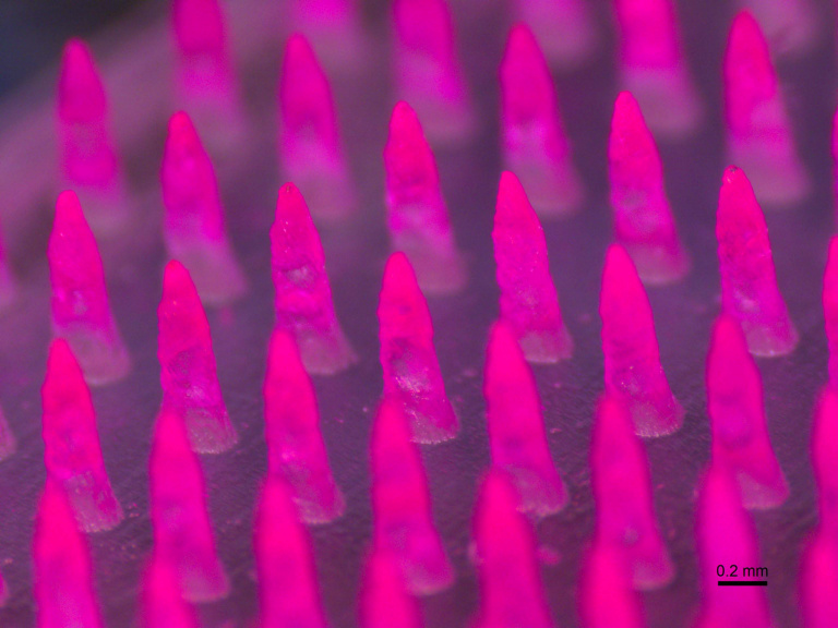 close-up view of pink-tinted microneedles in an array