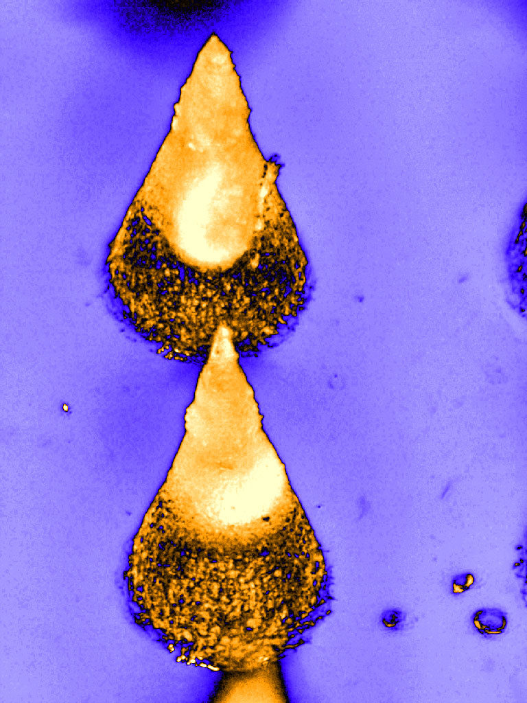 pair of gold cones on an indigo background