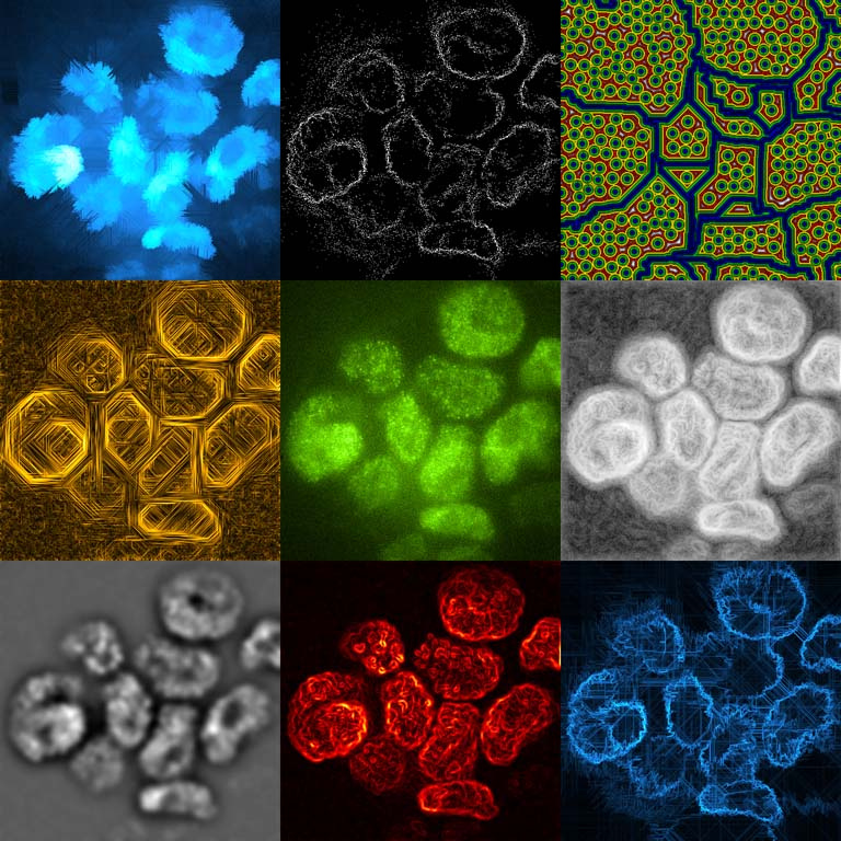 nine-panel mosaic of colored cells rendered with different photo effects