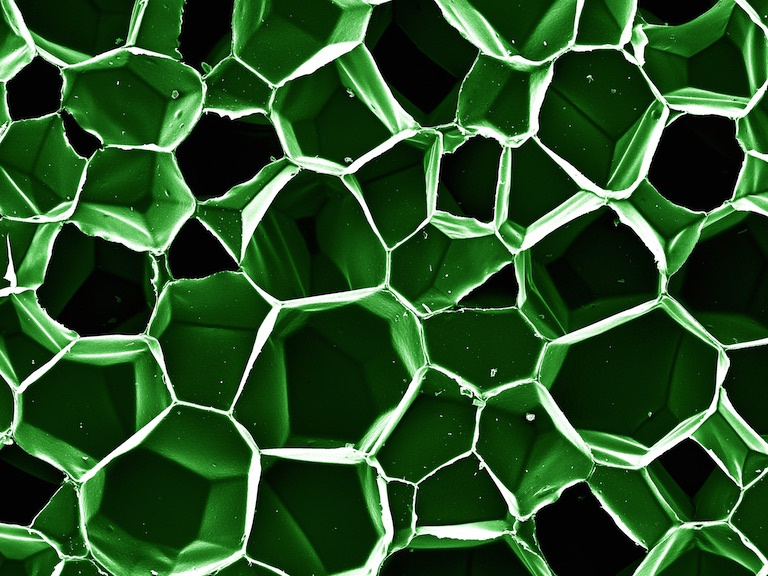 polygonal compartments of various depths, in green