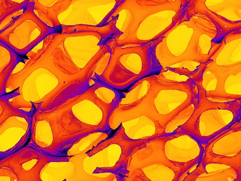 purple-shadowed layers of mesh in red, orange, and yellow with decreasing brightness