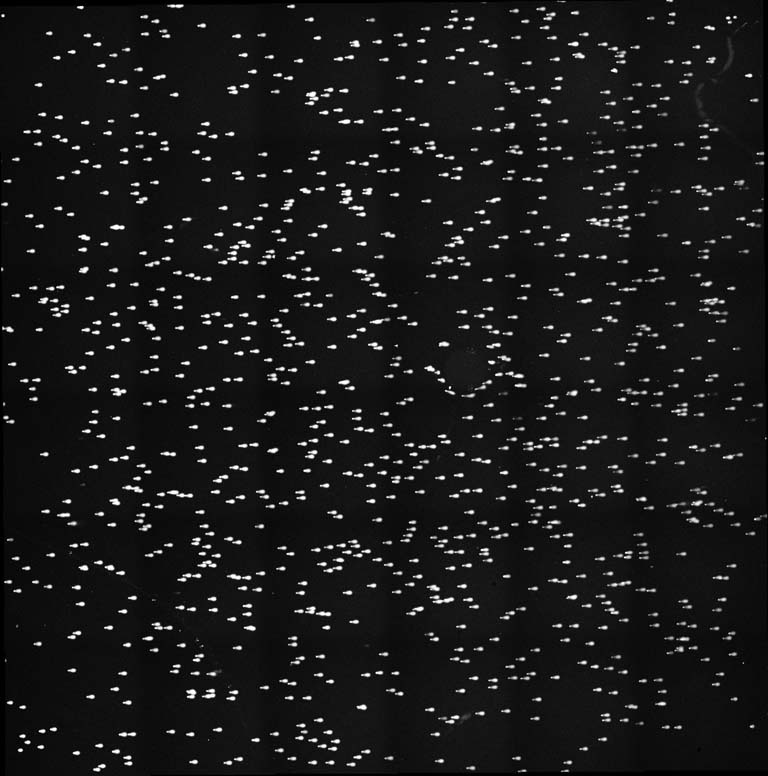 hundred of comet tail assays on a black background