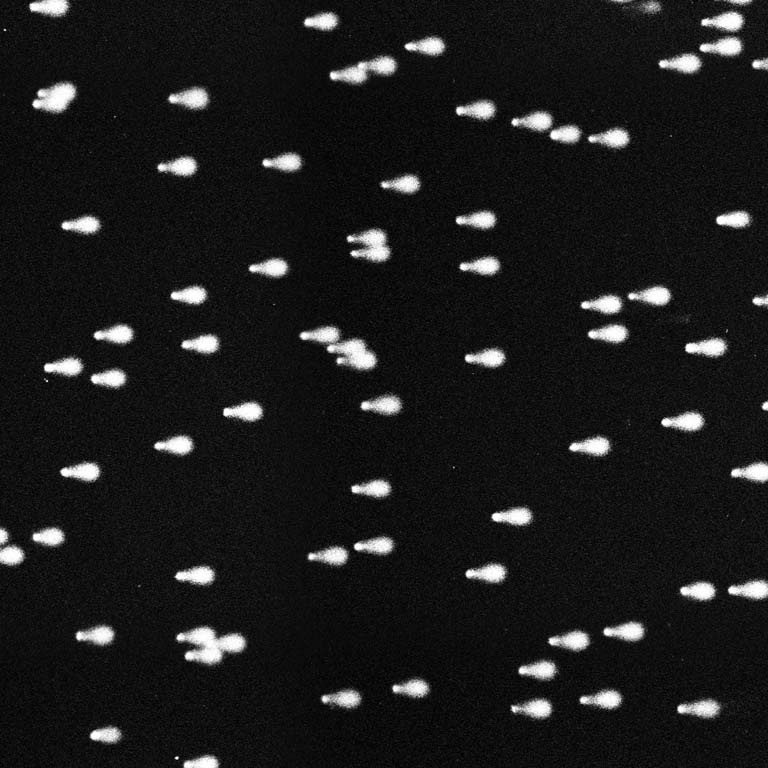 Several dozen comet tail assays against a black background