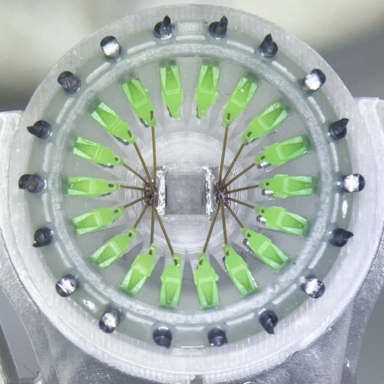 green electrodes in a ring