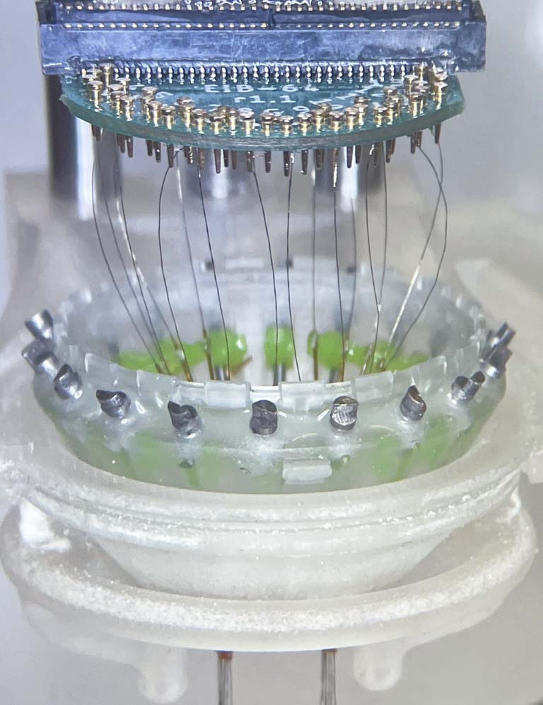wires in a cylindrical shape connecting electrodes to a round computer chip