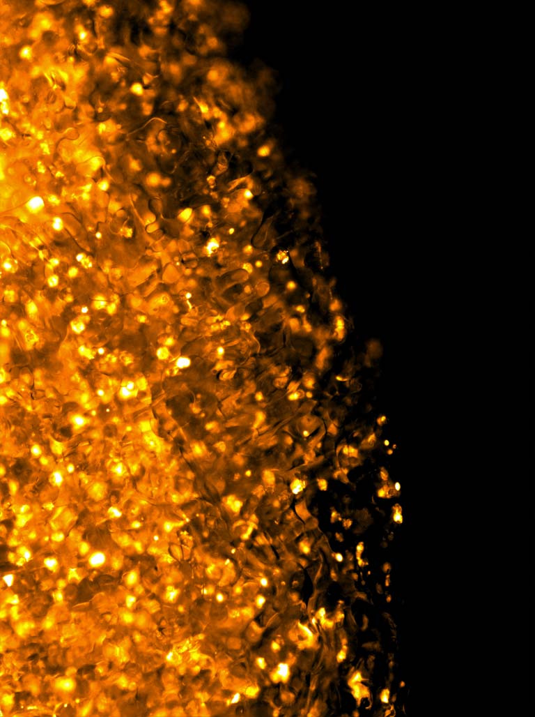 cells (in gold) disperse against a black background