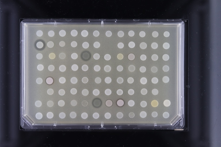 Yellow and white dots on a rectangular slide on a black background