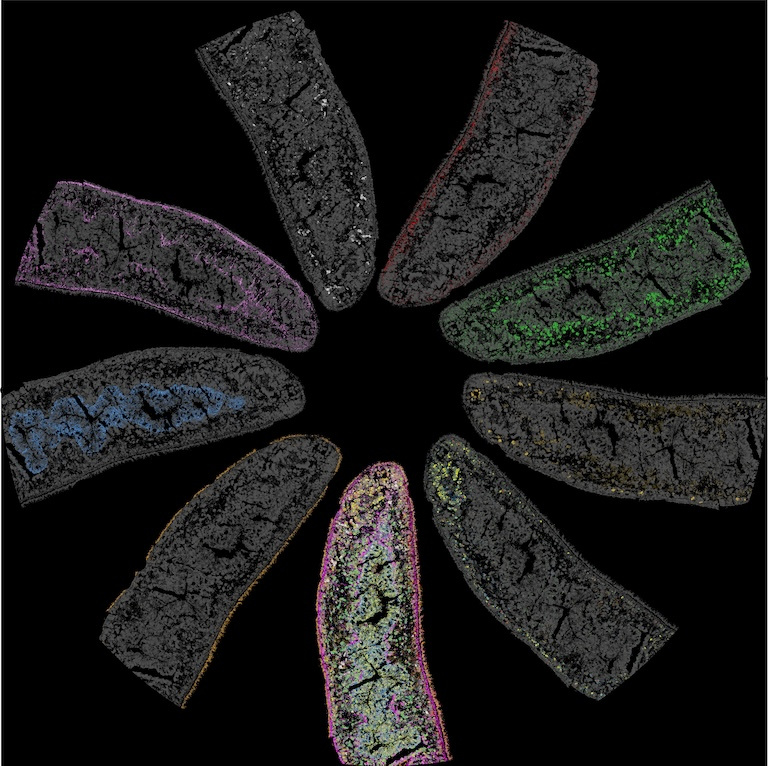 Nine multi colored pillar like structures converging towards a center in a black background