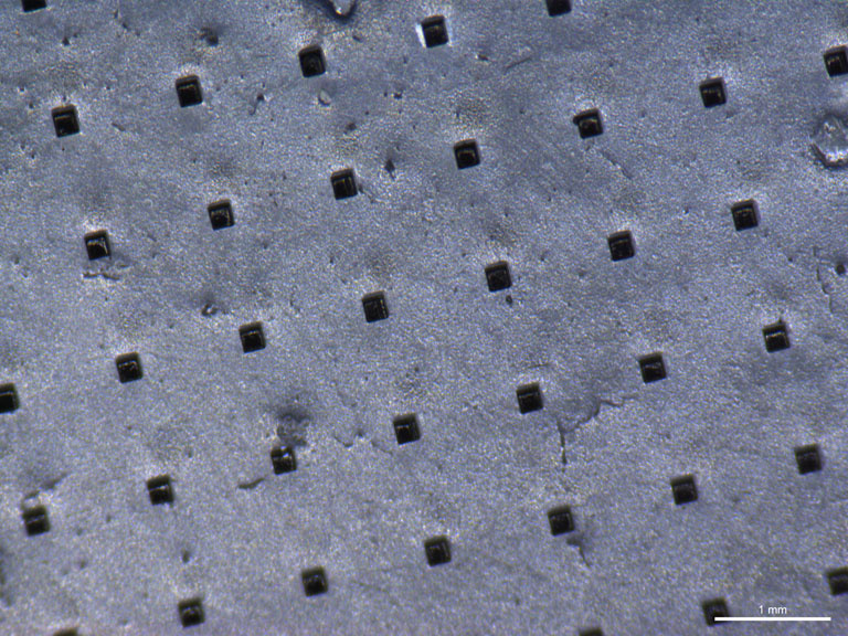 An array of polymer microparticles impregnated with gold nanorods is pictured on a standard glass microscope slide.