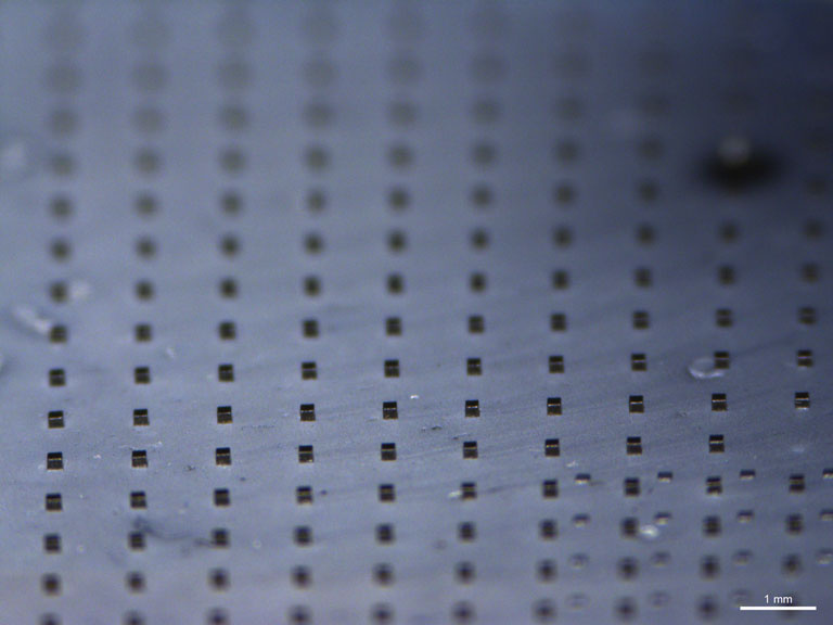 An array of polymer microparticles impregnated with gold nanorods is pictured on a standard glass microscope slide.