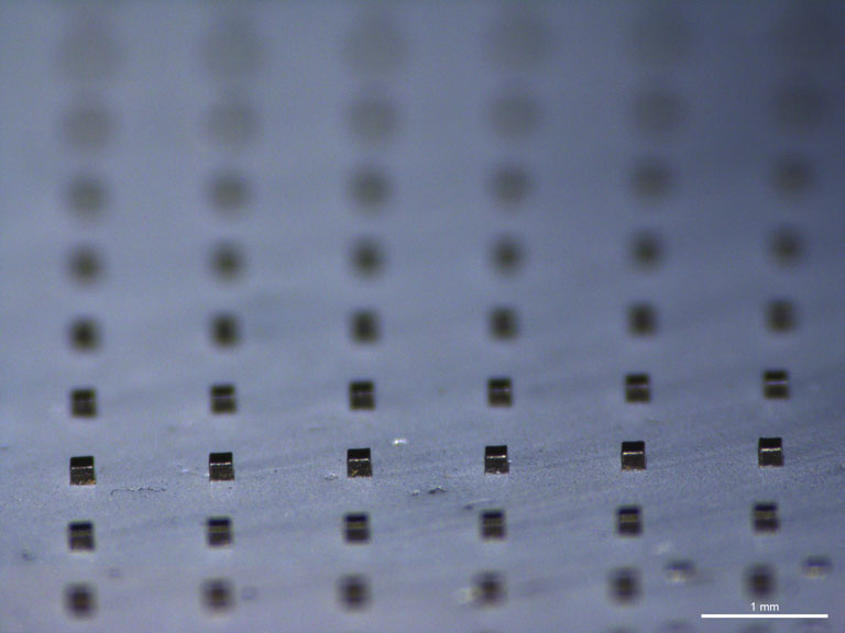An array of polymer microparticles impregnated with gold nanorods is pictured on a standard glass microscope slide.