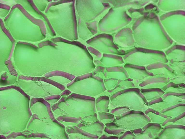 Close-up of a green surface showing visible cracks and texture variations.