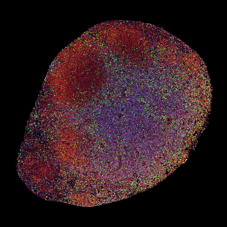 A circular object with red and blue paint, representing lymph nodes from treated and untreated mice with melanoma tumors.