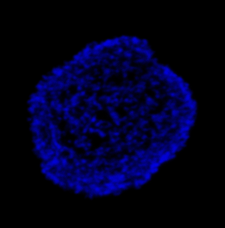 An abundance of glowing violet circular clusters in a round formation