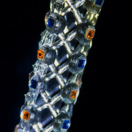 Cylinder shining like white gold and in the lattice orange and blue jewels