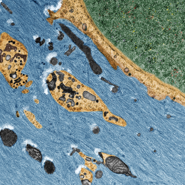 A coastal river of water running across the a sandy shore