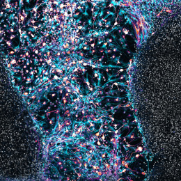 A tornado of purple, pink, and cyan with orbs of yellow captured throughout the tornado