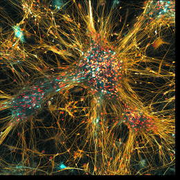 Several orbs made of glowing blue dots and yellow rays bursting out in all directions