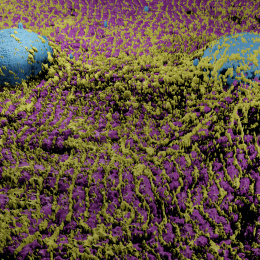 Blue spheres sitting on purple field overgrown with small green particles 