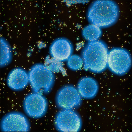 Glowing blue bunched clusters in a field of light speckled black space.