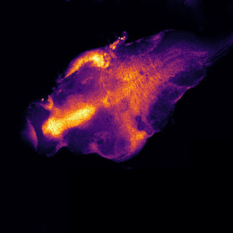  Luminous oblong shape encased in a neon purple wavy shape