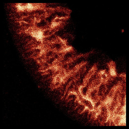 Wrinkled curving passage of shimmering rust tinted yellow light