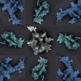 Nine panel grid of multi-colored islands of clumps in a sea of grey.