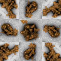 Nine panel grid of light brown colored islands of clumps in a sea of grey.