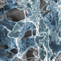 Ghostly grey and blue structures webbing over each other in dense clusters