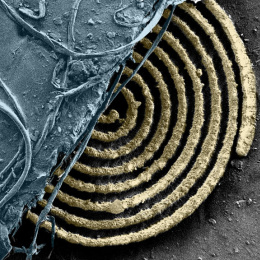 Spiral of curved copper colored formations making rings over a dark surface