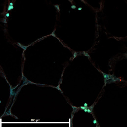 Glowing teal drops in the corners of a darkened hexagonal grid.