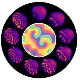 ring of rippled purple shapes on a black background surrounding a rainbow swirl
