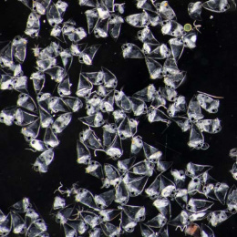 clusters of white plankton on a dark background