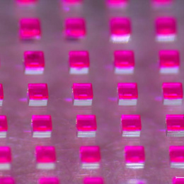glowing pink cube-like capsules on a glass slide